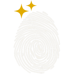 Discover fingerprint icon